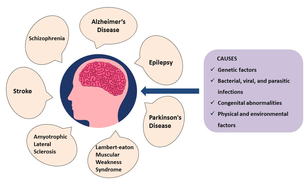 Types and causes of neurological diseases.