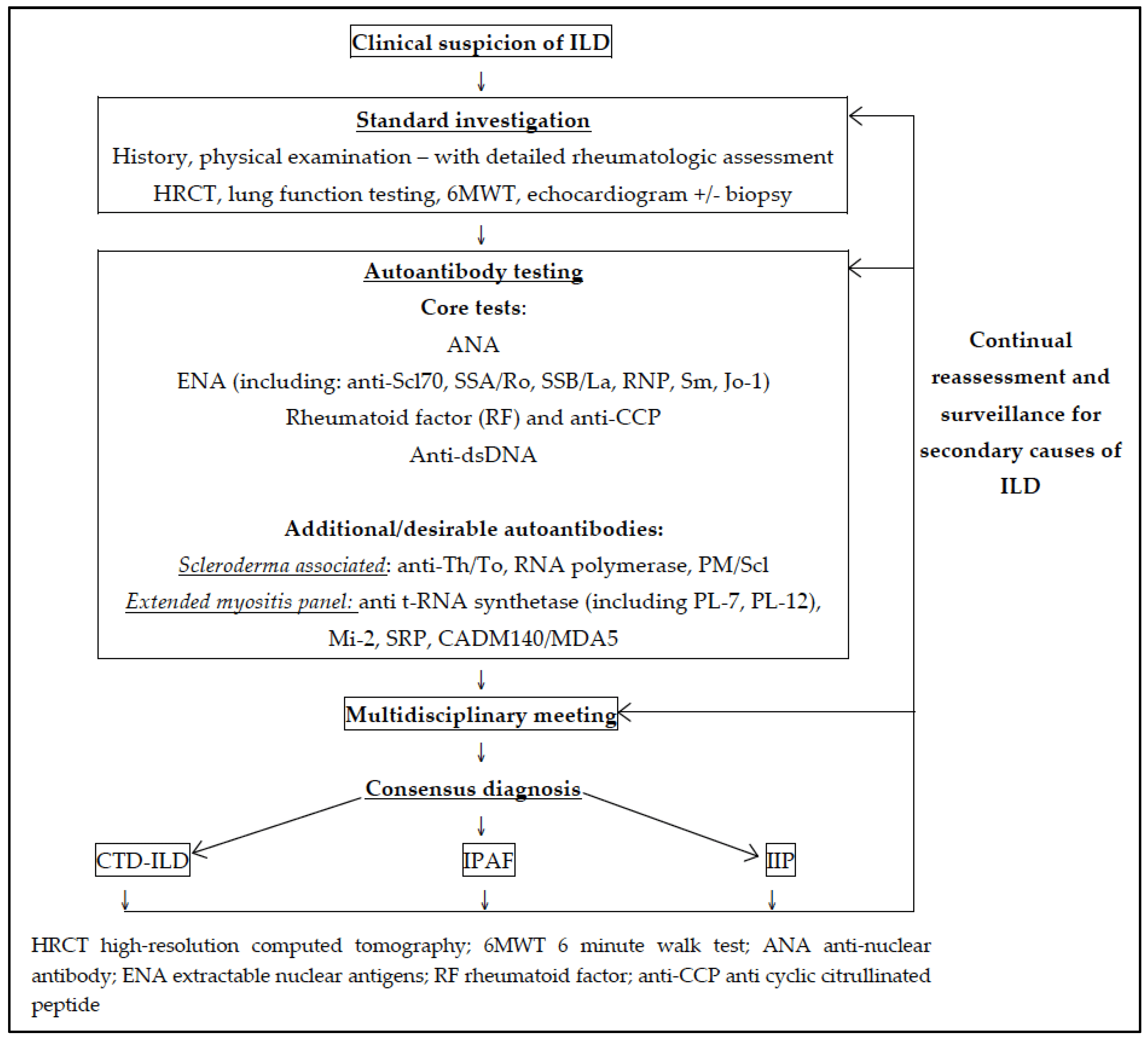 Suggested algorithm for assessment of ILD and autoantibody testing.