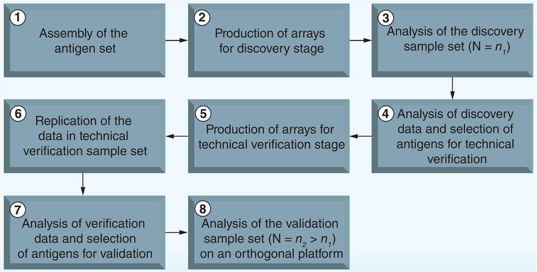 Overview of typical steps of studies using antigen arrays as a platform for the discovery of autoantibody targets in body fluids.