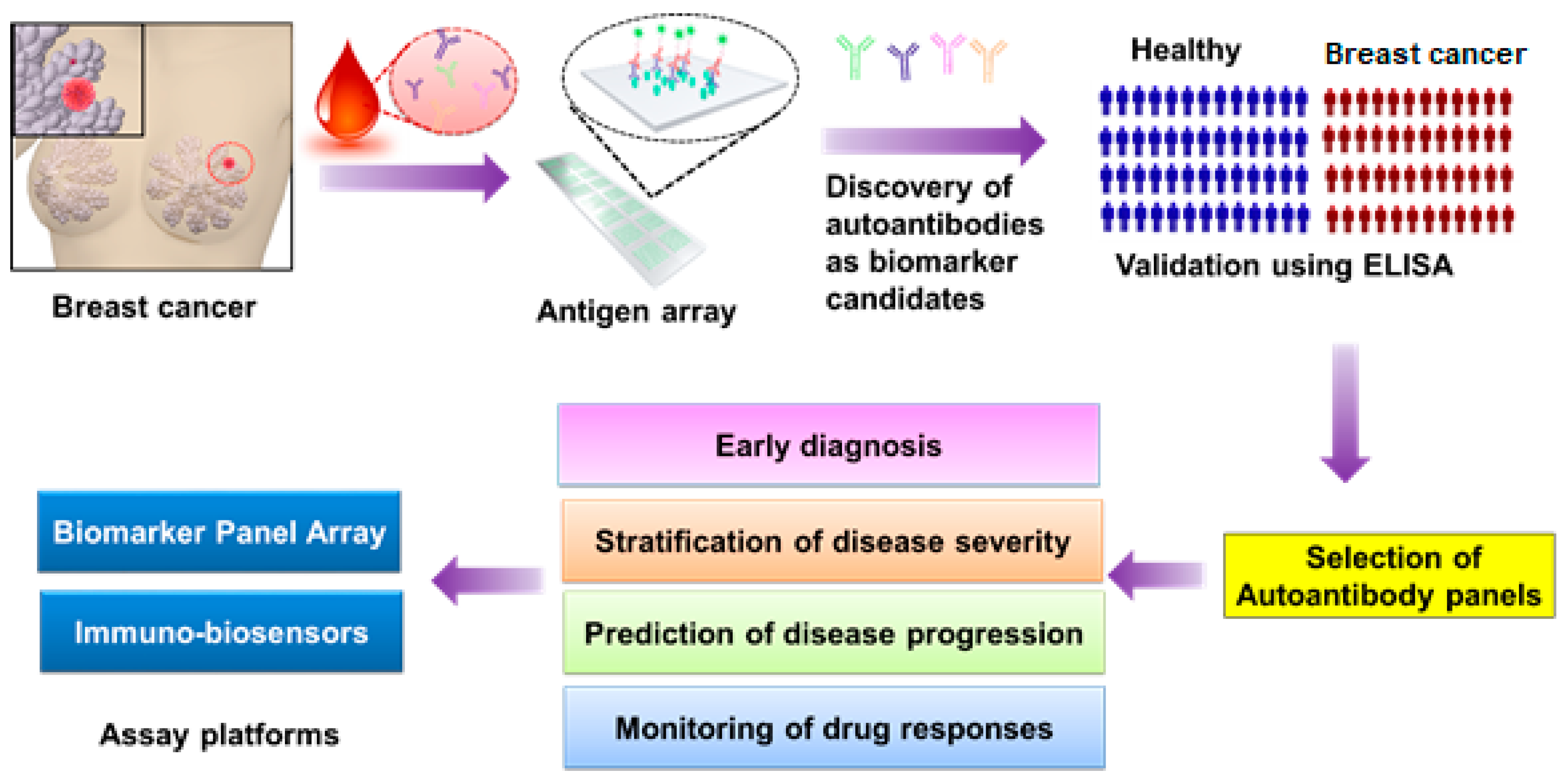 Flowchart of autoantibody biomarker discovery and detection in breast cancer.