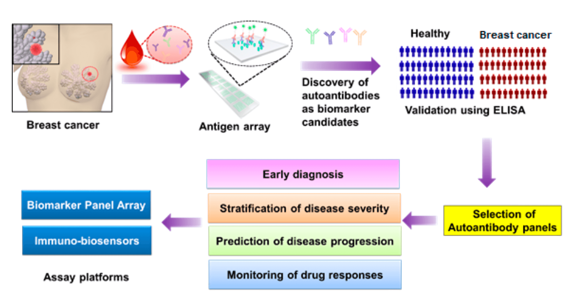 Flowchart of autoantibody biomarker discovery and detection in breast cancer using antigen arrays and ELISA.
