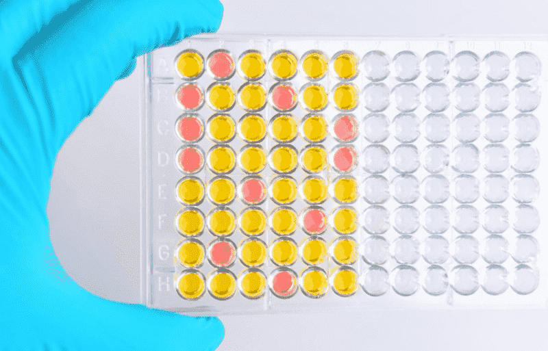 Fig.2 Elisa assay. (Creative Biolabs Authorized)