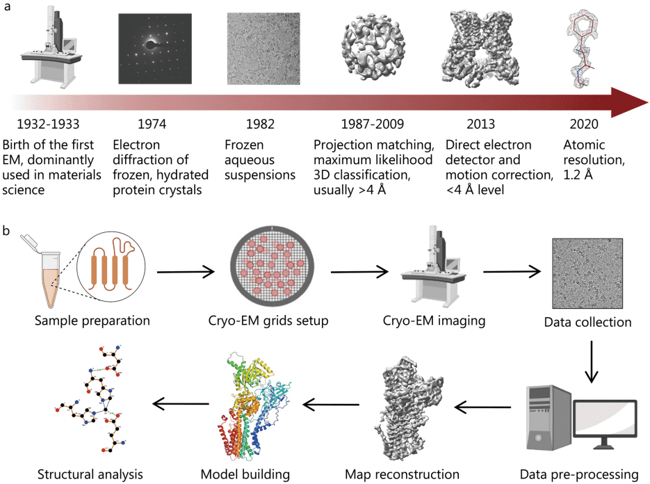 Fig.1 The single particle cryo-EM. (Zhu, et al., 2023)