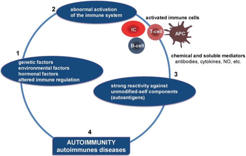 Alterations in mechanisms that regulate inflammation contribute to the progression from autoimmunity to autoimmune disease.