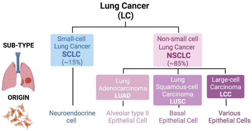 Fig.1 Lung cancer types. (Sánchez-Ortega, Ana and Antonio, 2021)