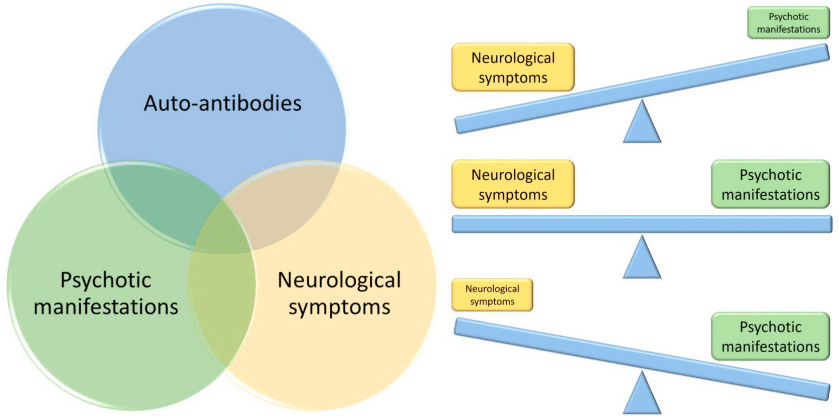 Fig.2 The relationship between autoimmune and psychotic disorders. (Mane-Damas, et al., 2019)