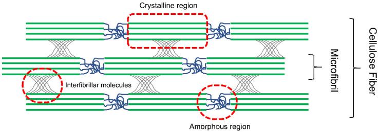 Fig.1 The crystalline and amorphous structures of cellulose. (Jaffar, et al., 2022)