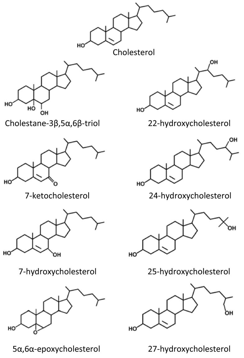 Structure of cholesterol and several common oxysterols