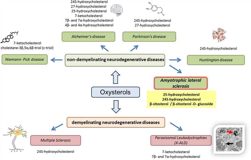 Oxysterols in various neurodegenerative diseases