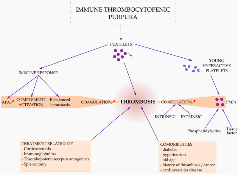 Fig.3 ITP thrombosis is associated with APA. (Tărniceriu, et al., 2022)