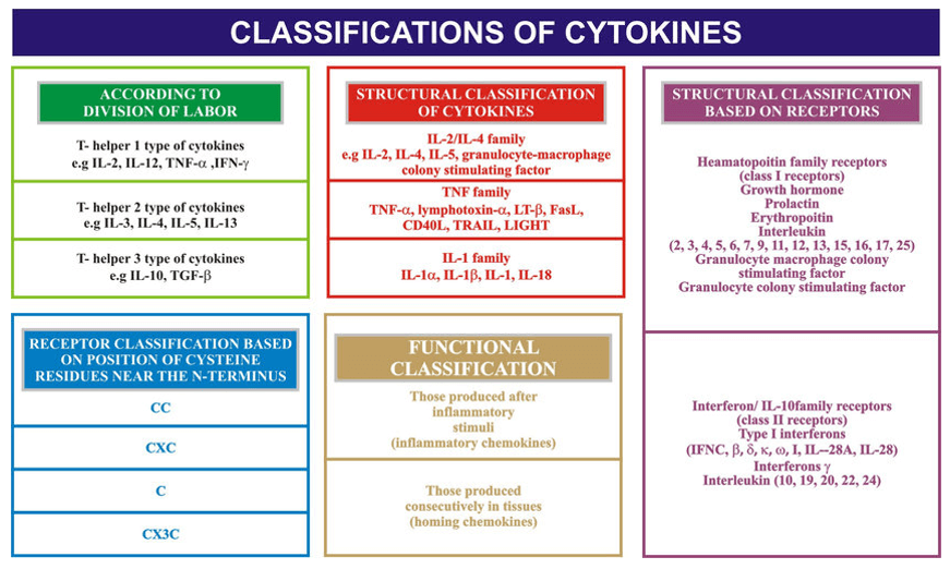  Classification of cytokines.