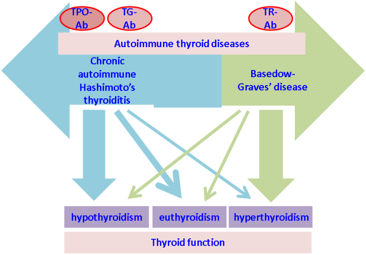 Thyroid Causes Diagnosis Best treatment Best Homeo..