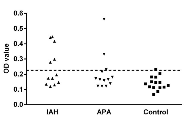 Enzyme–linked immunosorbent assay (ELISA) detection of angiotensin II type 1 receptor (AT1R) autoantibodies in primary aldosteronism patients and normotensive control subjects.