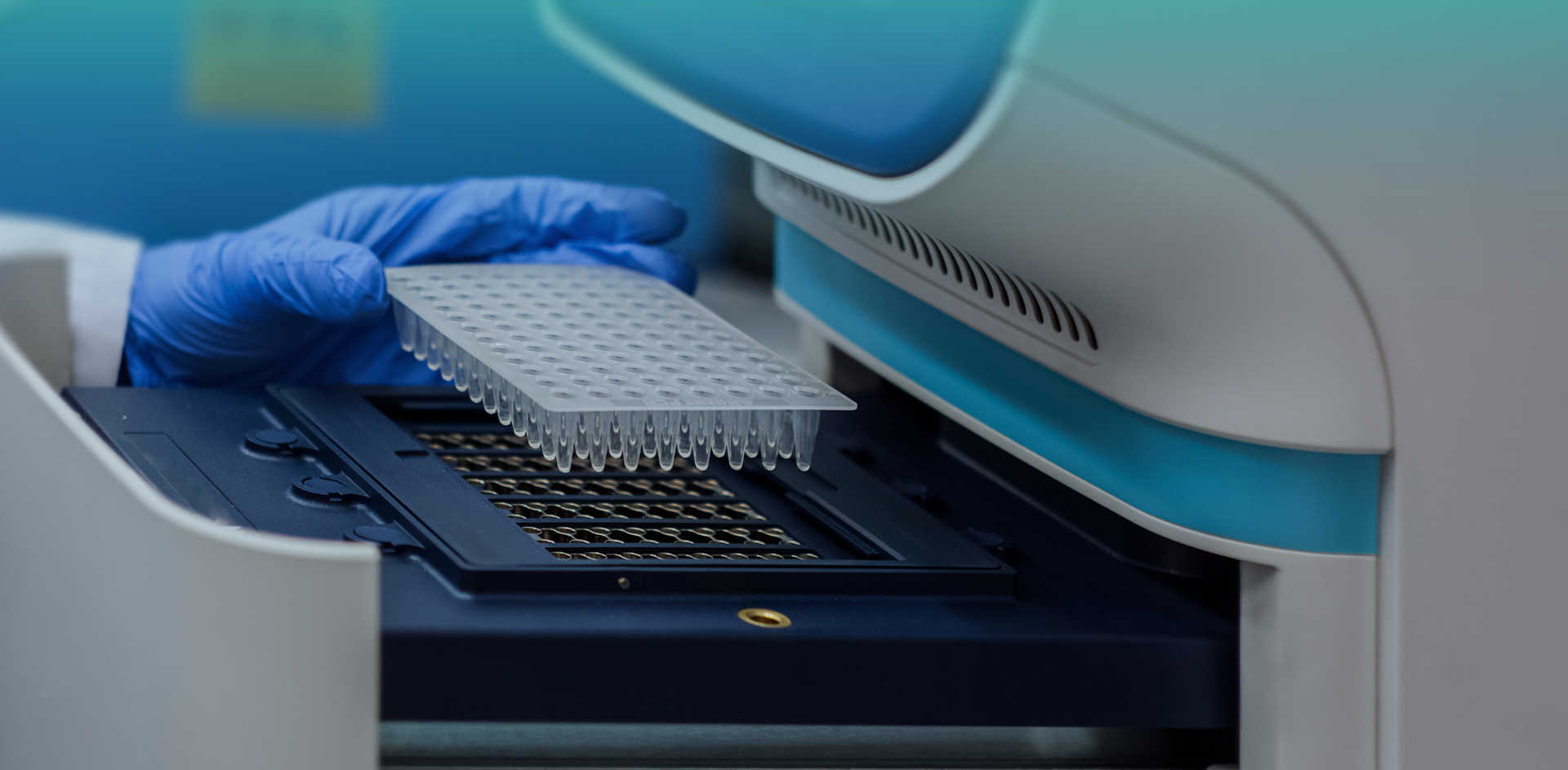 Your One-Stop Platform for NHP-BasedResearch