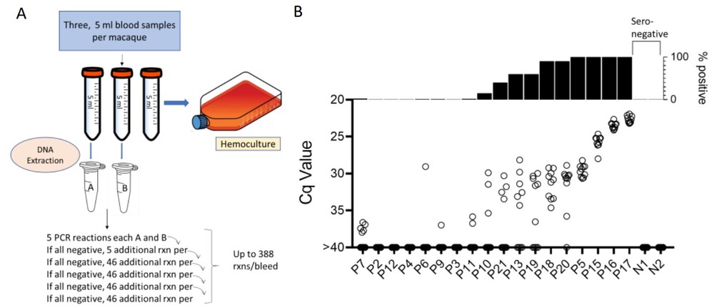 Protocol for the collection and PCR analysis of NHP blood samples. (OA Literature)