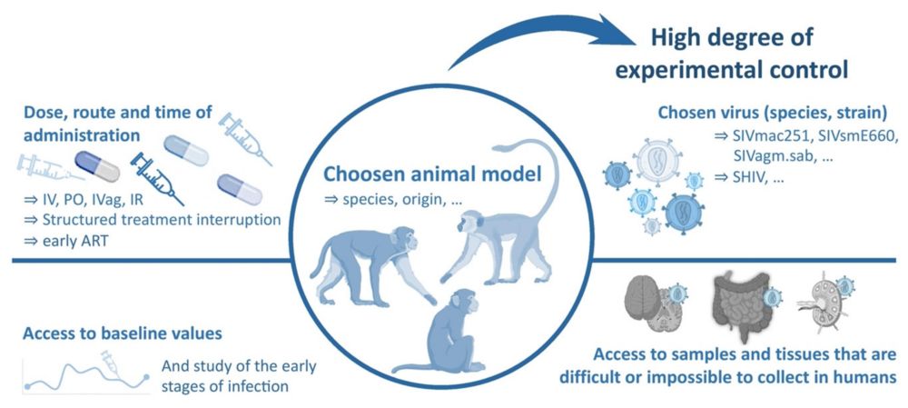 Interests and prerogatives of Non-Human Primates (NHP) models for HIV science. (OA Literature)