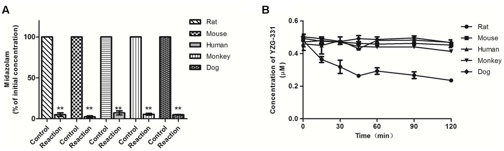 Stability of YZG-331 in liver microsomes (LMs) of human, dog, monkey, mouse, and rat in vitro. (OA Literature)
