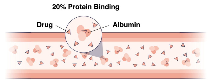 Interaction of drug molecules with plasma protein albumin. (OA Literature)