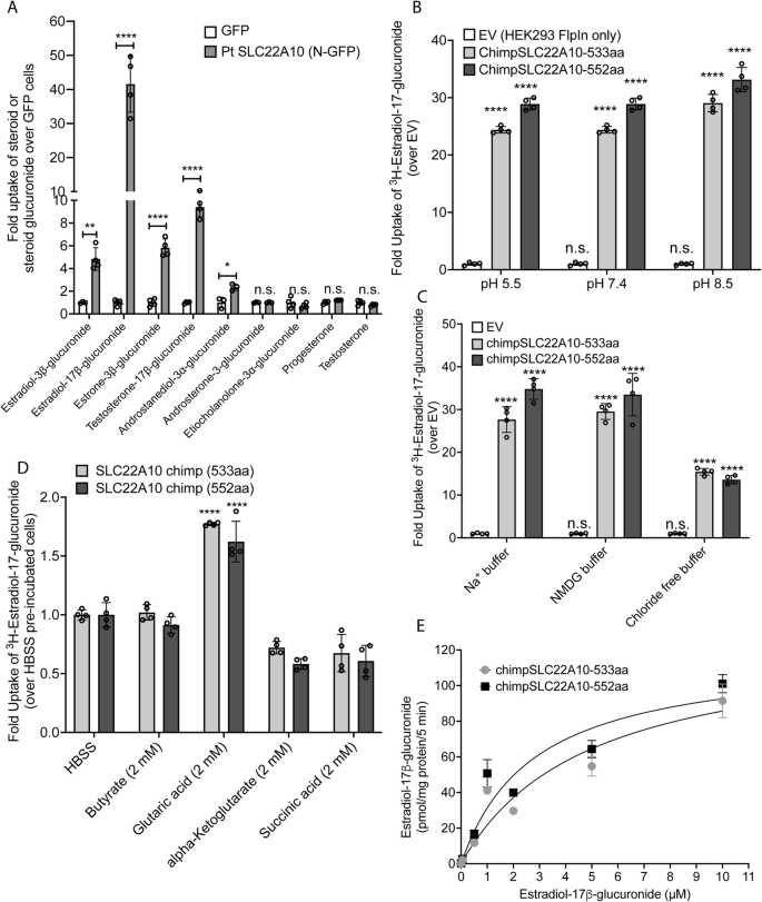 This figure presents information about the transport mechanism and kinetics of chimpanzee SLC22A10. (OA Literature)