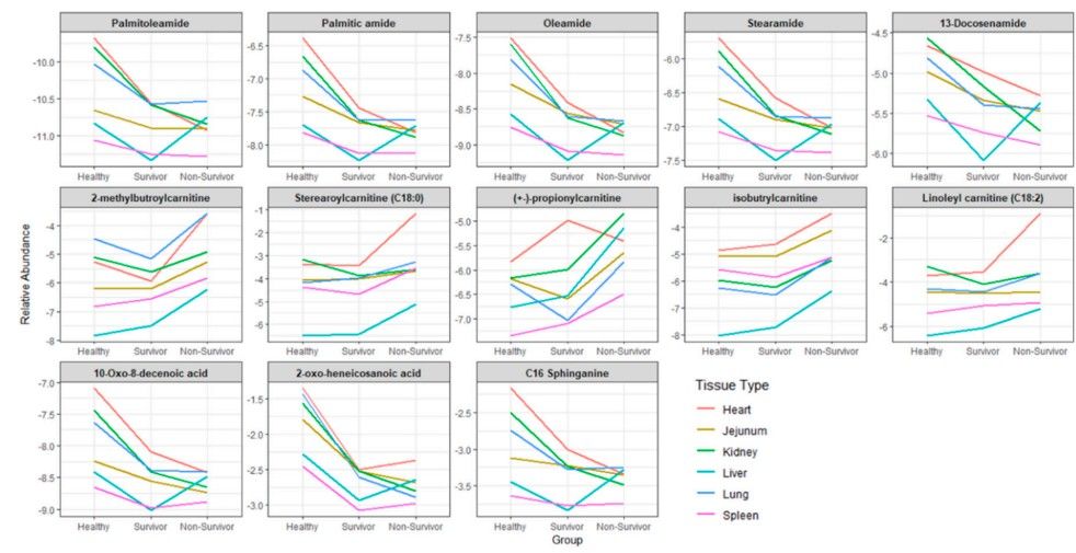 Overlapping patterns of metabolite abundance in the three NHP study groups across different tissue types. (OA Literature)