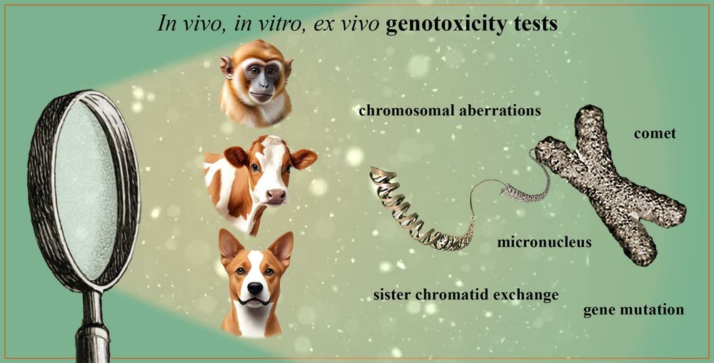 Overview of genotoxicity in NHPs and other animals. (OA Literature)