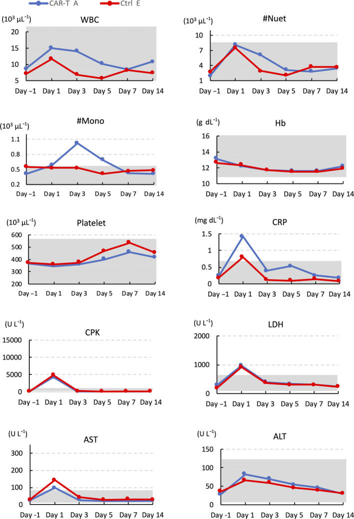 Representative data of complete blood counts and blood chemistry of macaque treated with CAR‐T and control T cell (Ctrl) before and at the indicated days after adoptive transfer. (OA Literature)