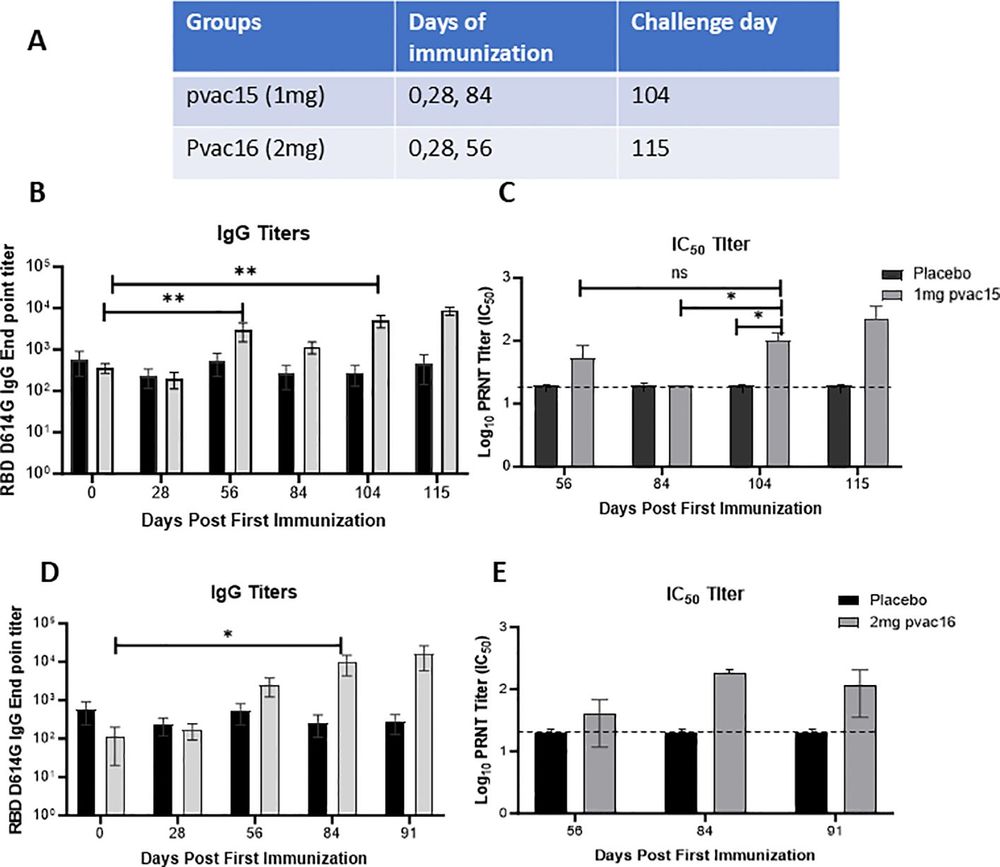 A DNA-based vaccine platform formulation is immunogenic in non-human primates and supports viral control in vivo. (OA Literature)
