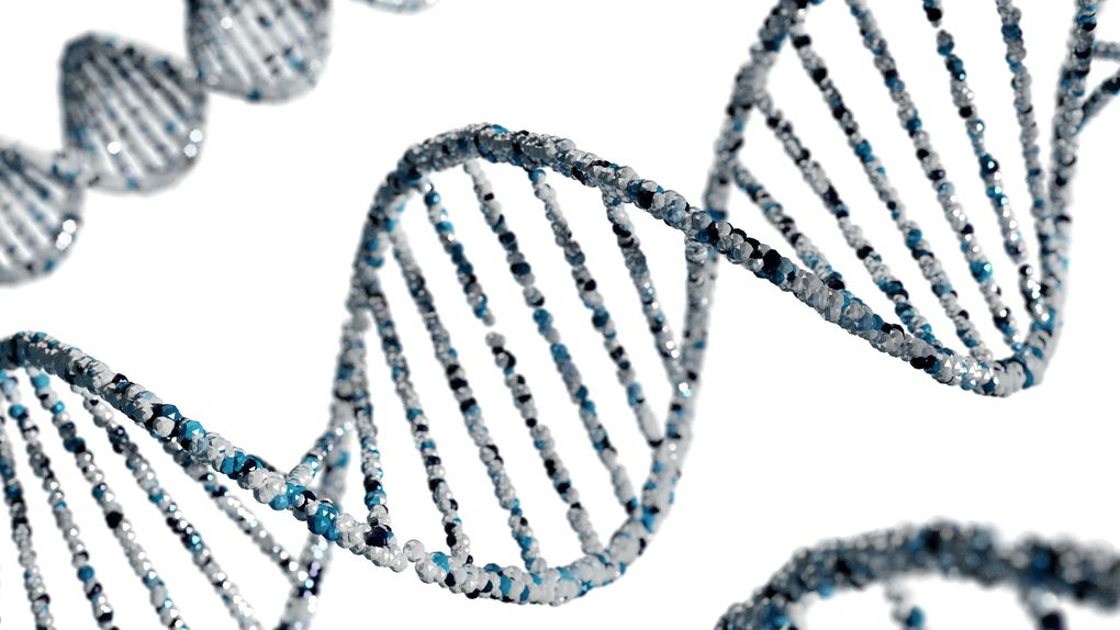 Bioinformation. (Creative Biolabs Authorized)
