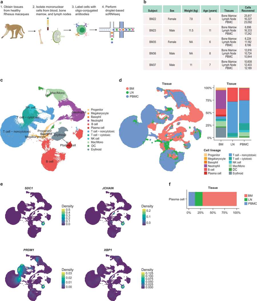 Multi-modal single-cell atlas of rhesus macaque immune tissues. (OA Literature)