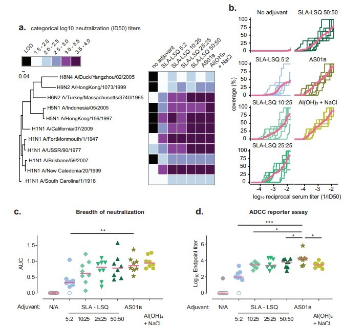 Neutralizing breadth induced by vaccination of NHPs with adjuvanted H1 stem protein. (OA Literature)