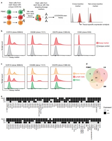 Identification of human-rhesus cross-reactive antibodies. (OA Literature)