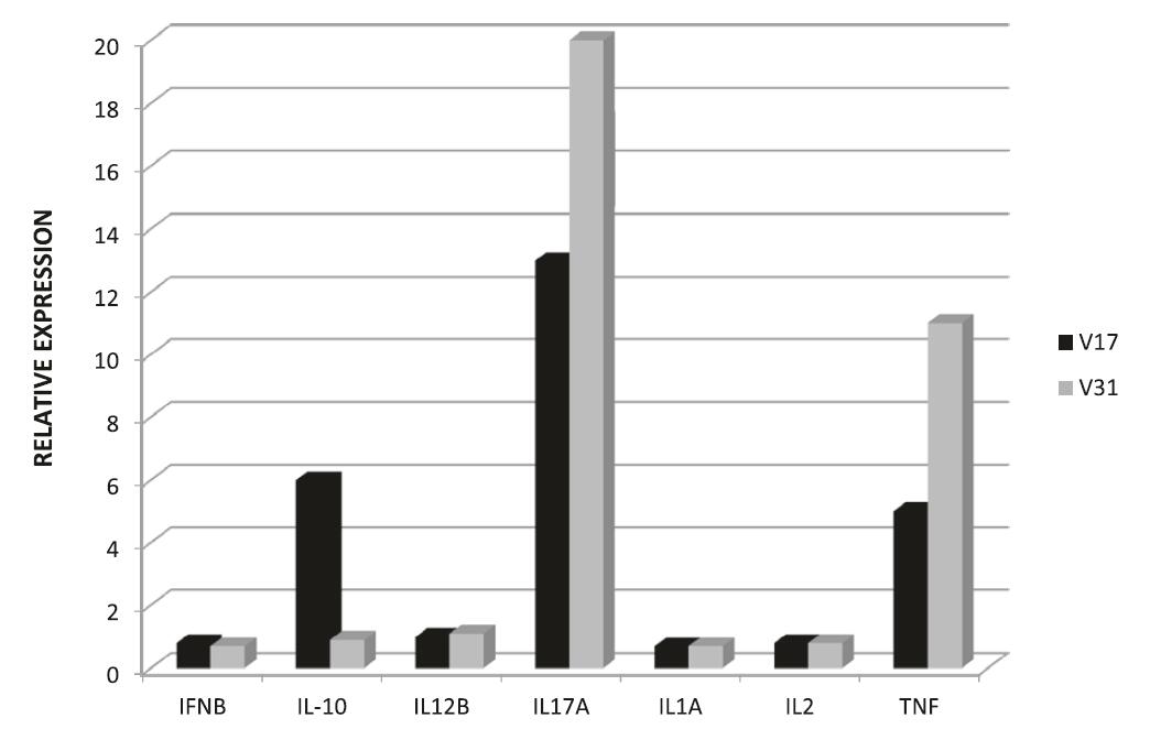 Exploring Cellular Immunity in Saimiri sciureus: Advances in Malaria Research Through Non-Human Primate Models