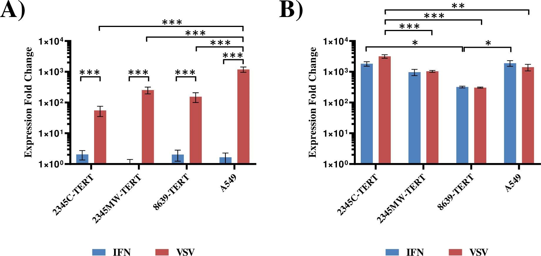Immortalized kidney cells express IFNB1 and/or MX1 upon stimulation with IFN or VSV infection.