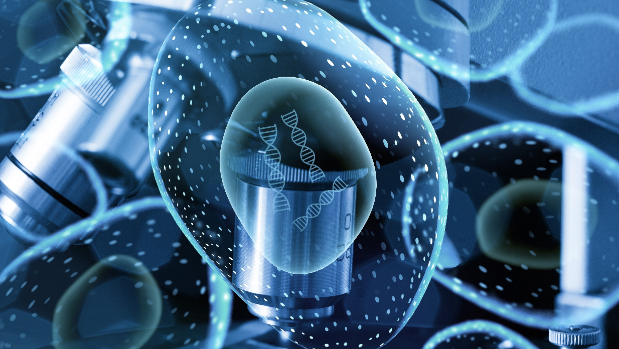 Fig.1 Imaging Platform for NHP Studies. (Creative Biolabs Authorized)