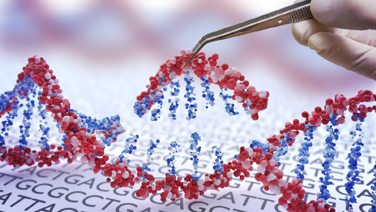 Fig.4 NHP based Gene Therapeutic Development Service. (Creative Biolabs Authorized)