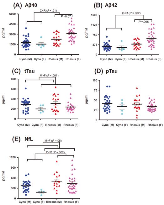 Species and sex comparison for cerebrospinal fluid (CSF) amyloid beta (Aβ), tau, and neurofilament light (NfL) biomarkers. CSF Aβ, tau, and NfL biomarkers measured in CSF samples obtained by a lumbar puncture (LP) in male and female cynomolgus (Cyno) (C) and rhesus macaques (R).