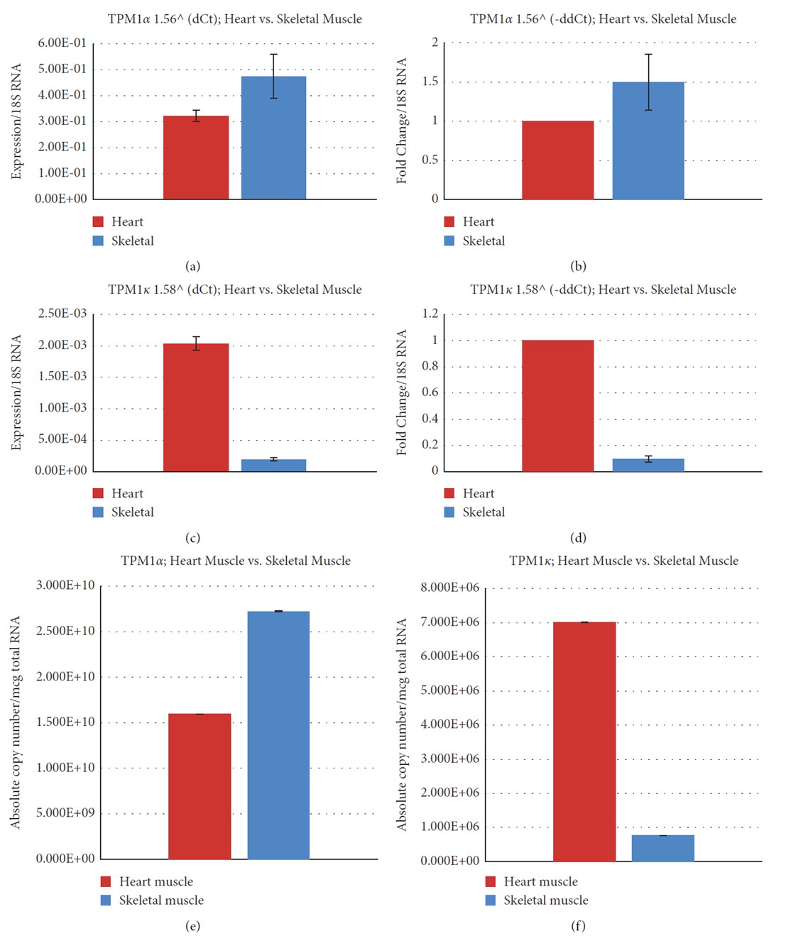 Relative and absolute expression of TPM1& and TPM1' in the Cyn heart and skeletal muscle. 