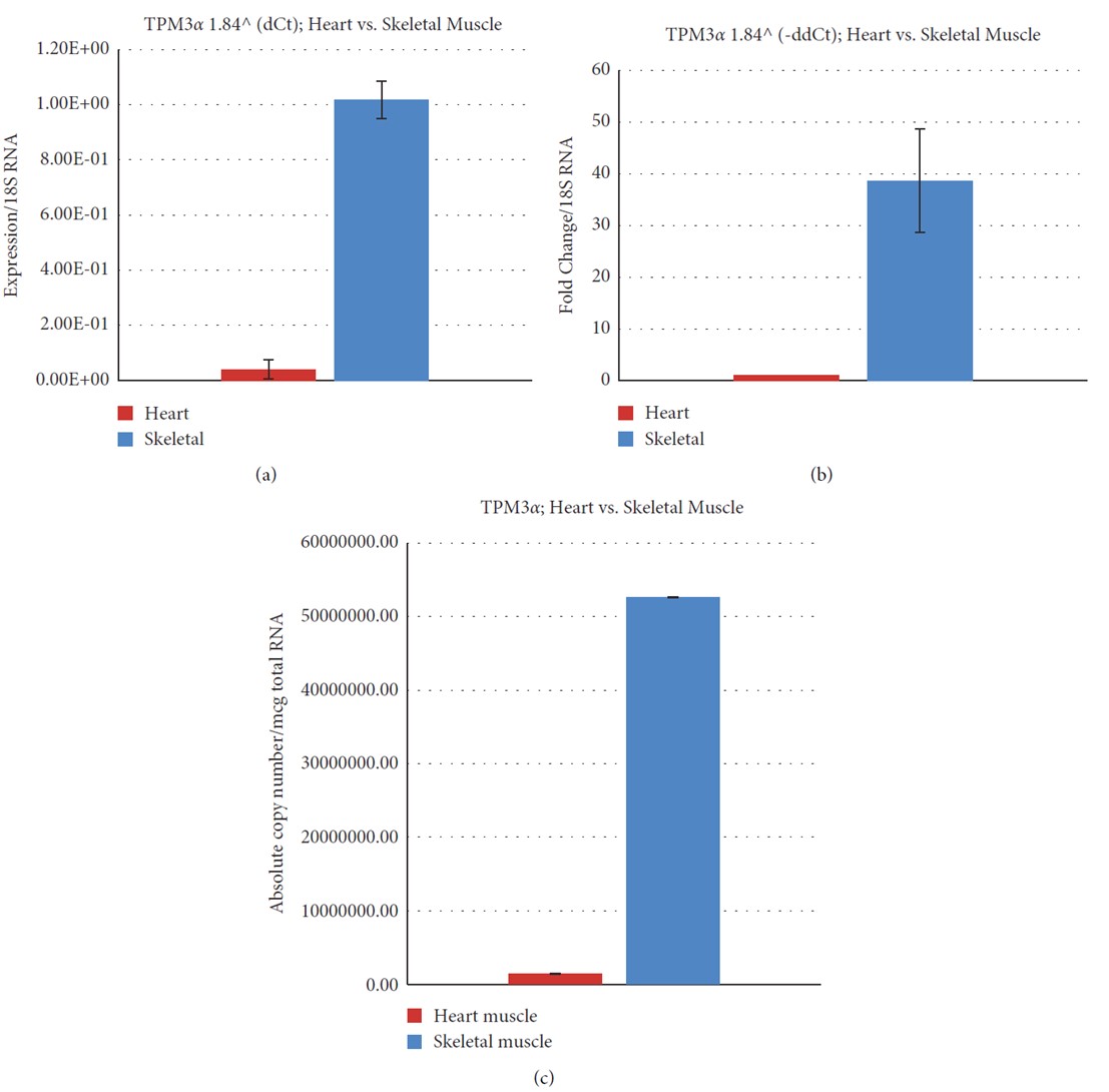 Relative and absolute expression of TPM3& in the Cyn heart and skeletal muscle.