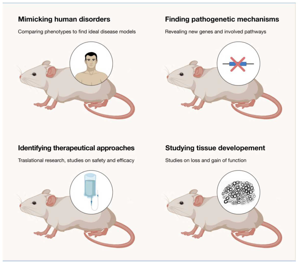 The significance of constructing mouse model for oncolytic virus research. (OA Literature)
