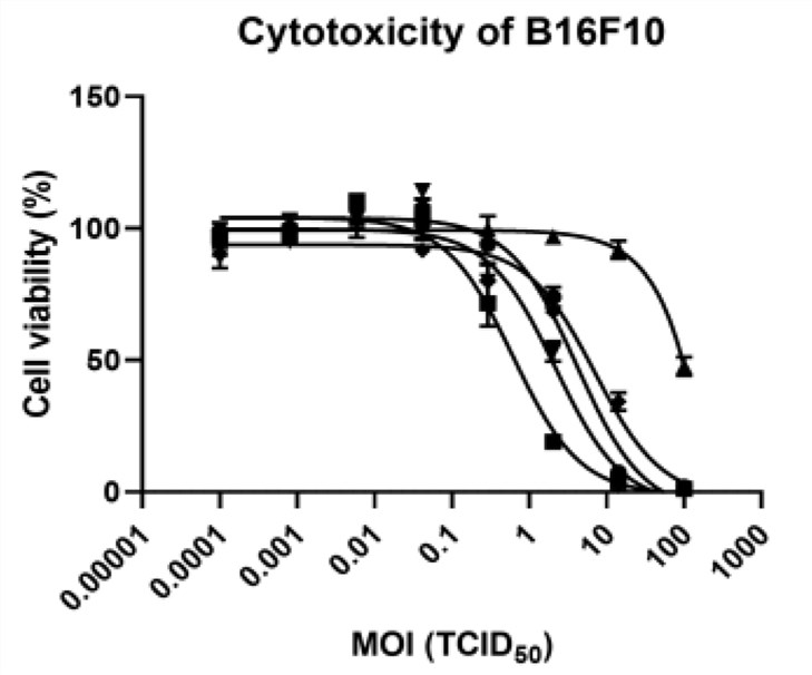 The toxicity of oncolytic virus infection on mouse tumor cells is determined by WST assay. (OA Literature)