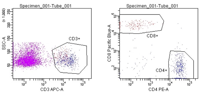 The proportion of T cells was determined by flow cytometry. (OA Literature)