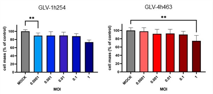 Viability of mouse peritoneal mesothelioma cell lines after treatment with different vaccinia virus strains. (OA Literature)