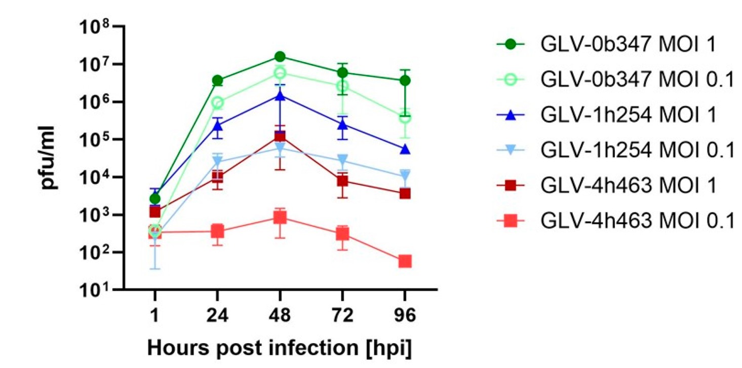 Viral replication of different vaccinia virus strains in mouse peritoneal mesothelioma cell lines. (OA Literature)