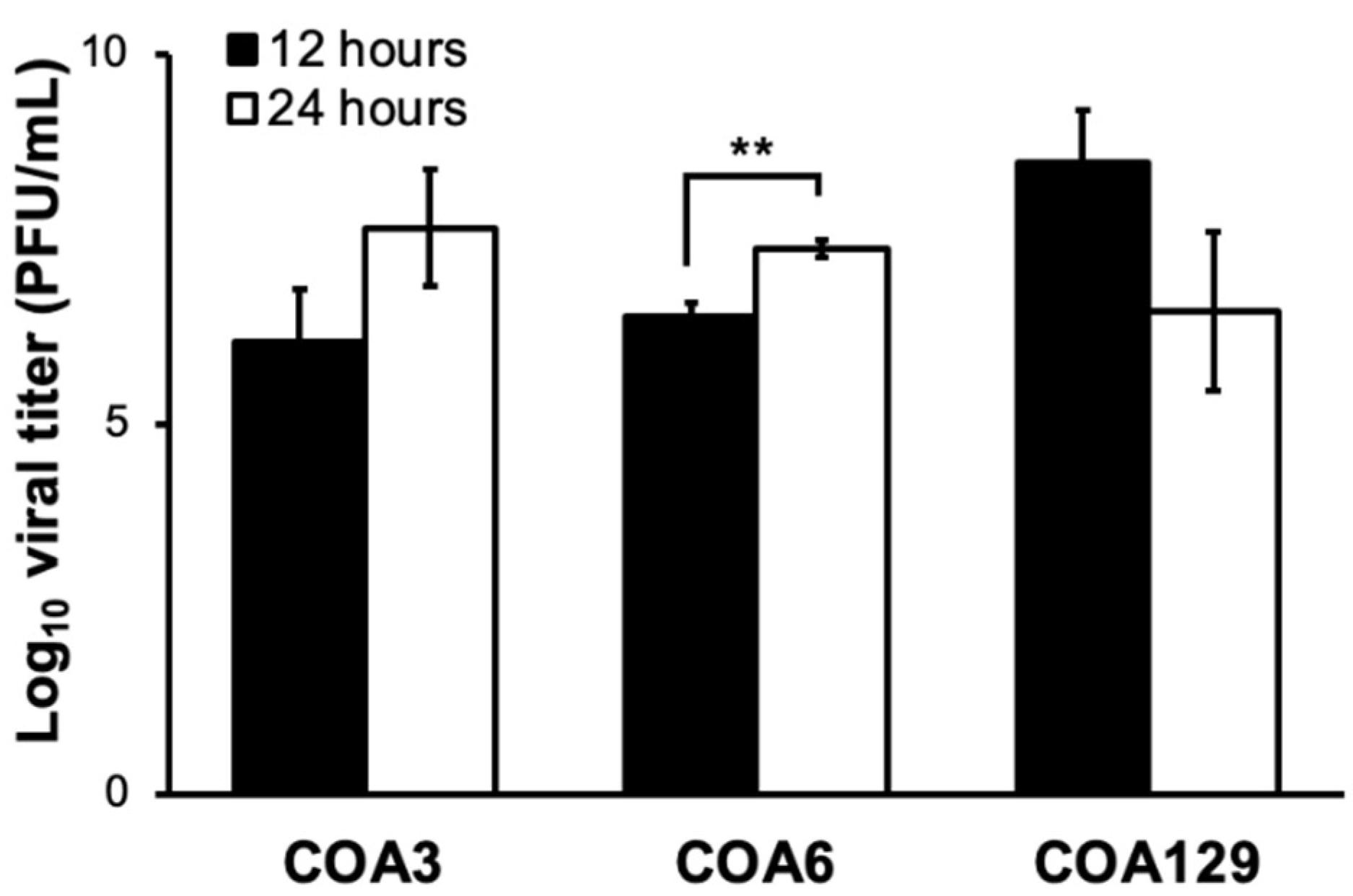 The ability of oncolytic viruses to replicate in neuroblastic tumors was assessed using a single-step assay. (OA Literature)