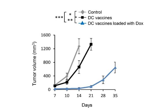 Effect of vaccine and oncolytic vaccinia virus treatment on tumor growth in mice. (OA Literature)