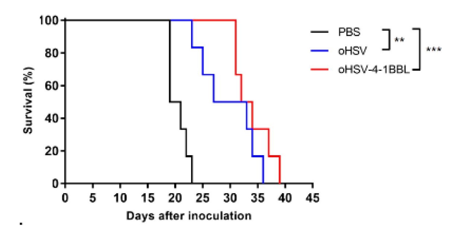 Survival curves of Pan02_HVEM tumor-bearing mice. (OA Literature)