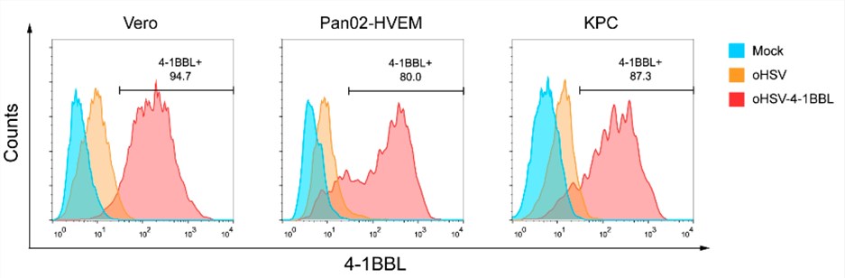 Flow cytometry is used to detect the expression of 4-1BBL. (OA Literature)