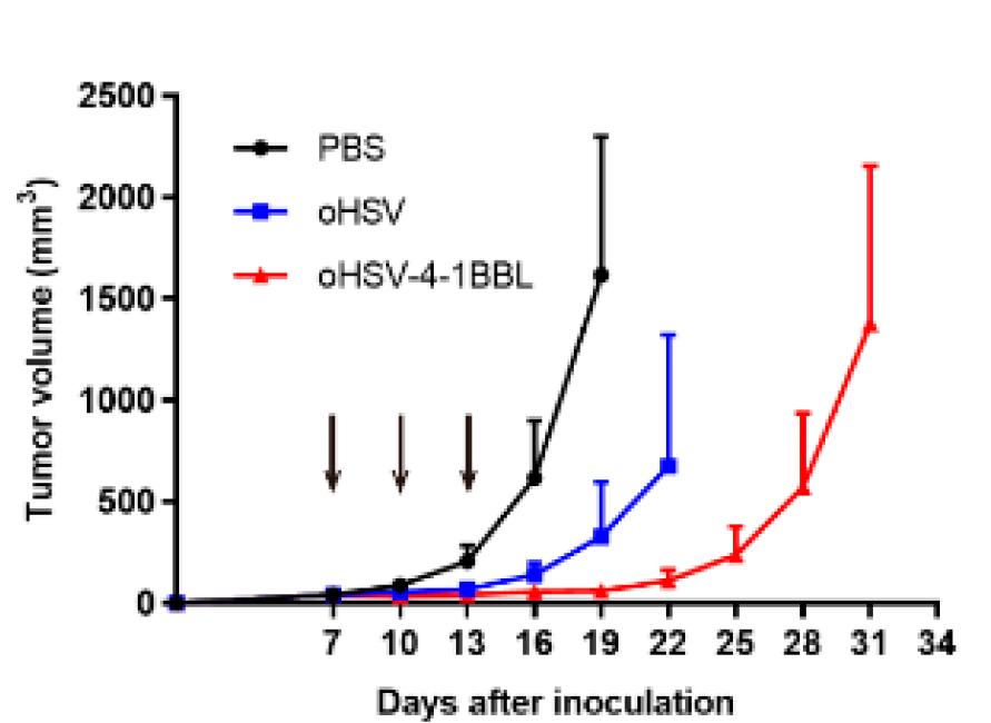 Tumor volume was measured in a mouse model. (OA Literature)