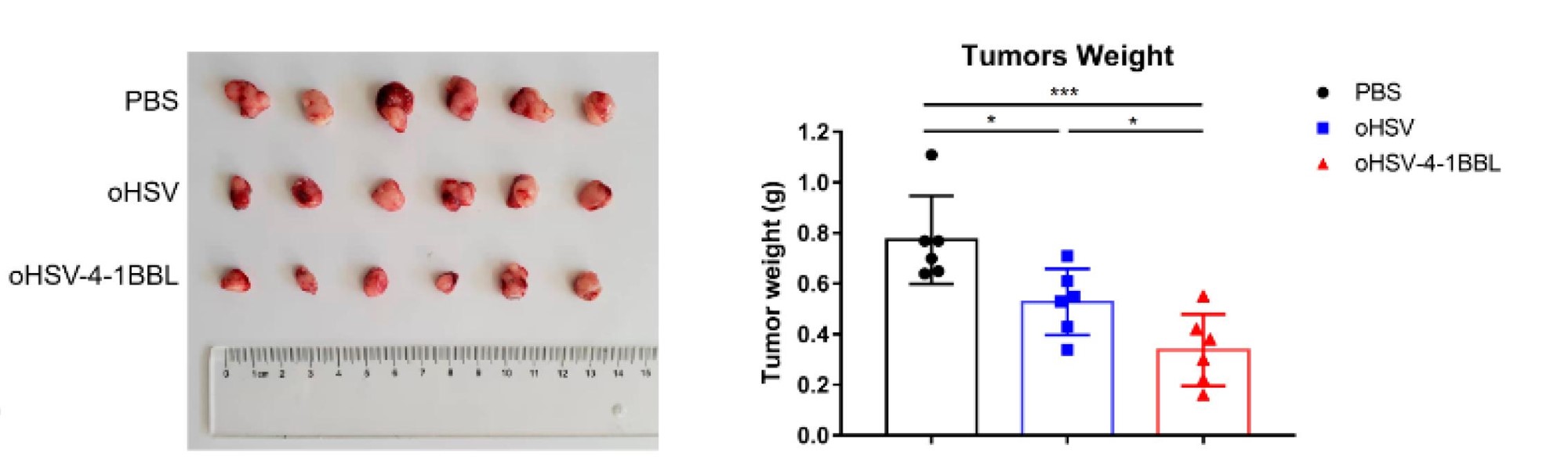 Tumor growth images as well as tumor weight statistics. (OA Literature)