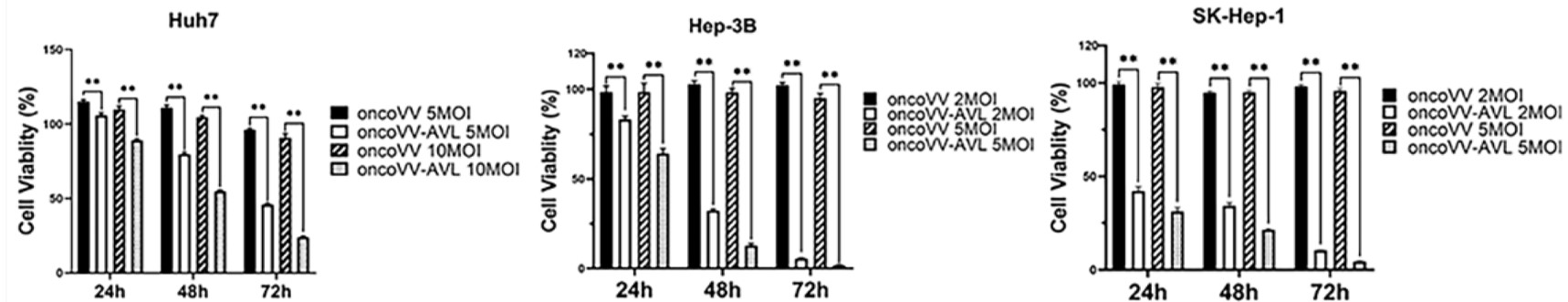 Cell viability is observed in hepatocellular carcinoma cells infected with oncolytic virus by MTT assay. (OA Literature)